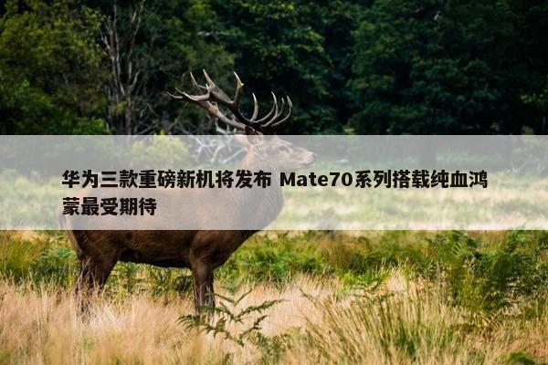 华为三款重磅新机将发布 Mate70系列搭载纯血鸿蒙最受期待