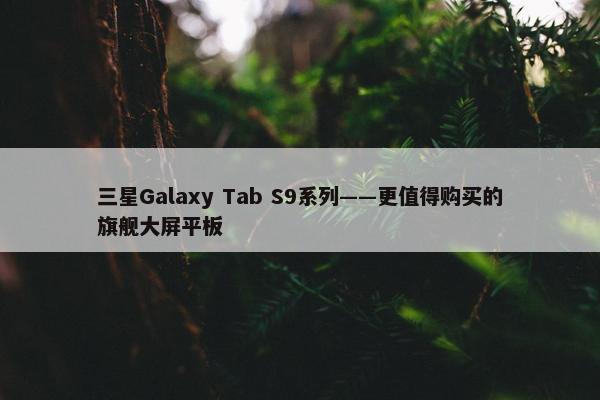 三星Galaxy Tab S9系列——更值得购买的旗舰大屏平板