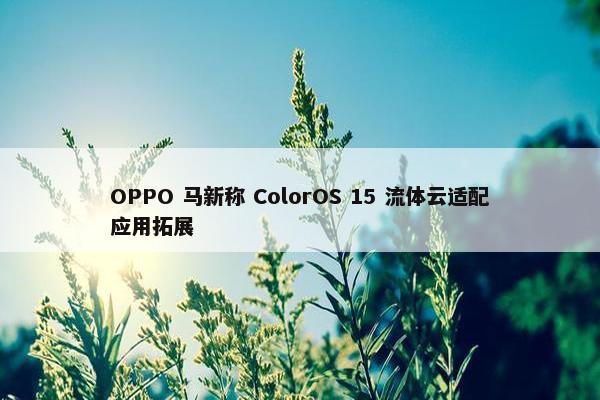 OPPO 马新称 ColorOS 15 流体云适配应用拓展