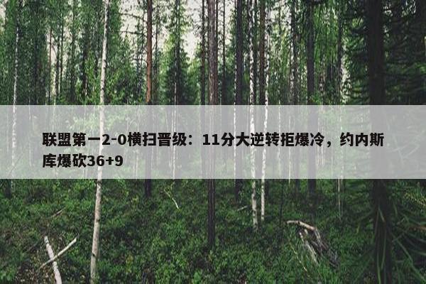 联盟第一2-0横扫晋级：11分大逆转拒爆冷，约内斯库爆砍36+9