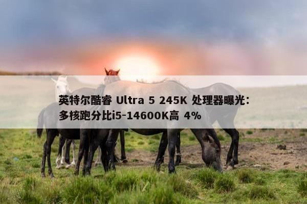 英特尔酷睿 Ultra 5 245K 处理器曝光：多核跑分比i5-14600K高 4%