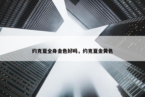 约克夏全身金色好吗，约克夏金黄色