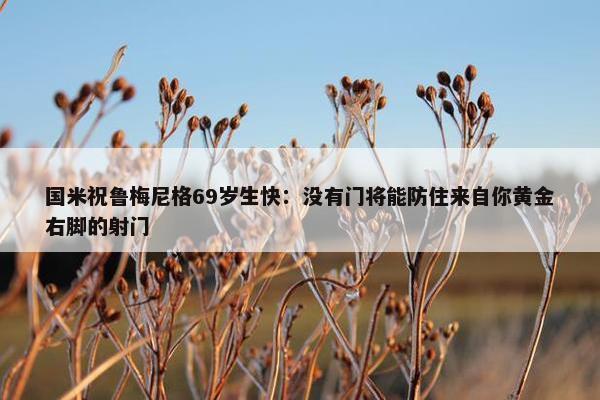 国米祝鲁梅尼格69岁生快：没有门将能防住来自你黄金右脚的射门