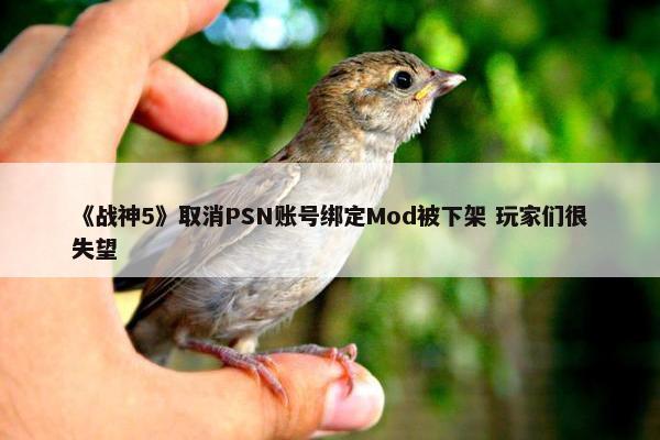 《战神5》取消PSN账号绑定Mod被下架 玩家们很失望