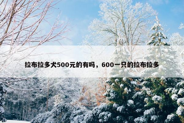 拉布拉多犬500元的有吗，600一只的拉布拉多