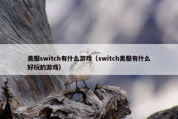 美服switch有什么游戏（switch美服有什么好玩的游戏）