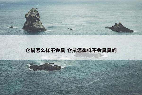 仓鼠怎么样不会臭 仓鼠怎么样不会臭臭的