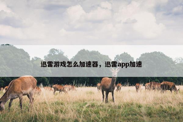 迅雷游戏怎么加速器，迅雷app加速