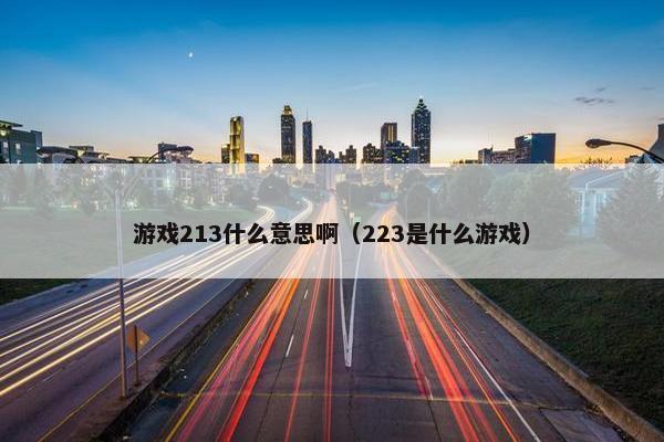 游戏213什么意思啊（223是什么游戏）