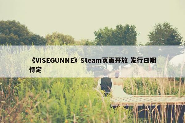 《VISEGUNNE》Steam页面开放 发行日期待定