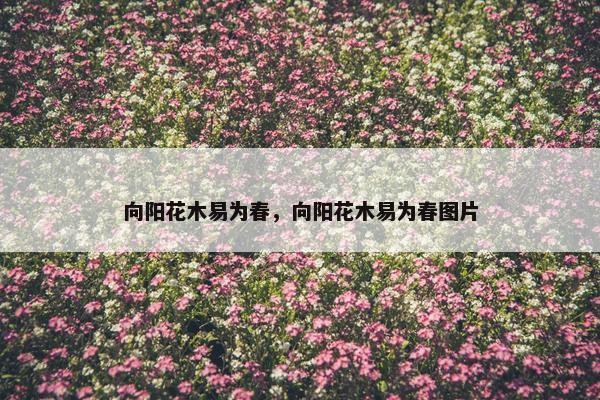 向阳花木易为春，向阳花木易为春图片