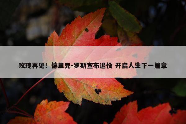 玫瑰再见！德里克-罗斯宣布退役 开启人生下一篇章