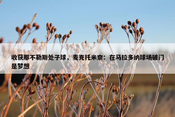 收获那不勒斯处子球，麦克托米奈：在马拉多纳球场破门是梦想