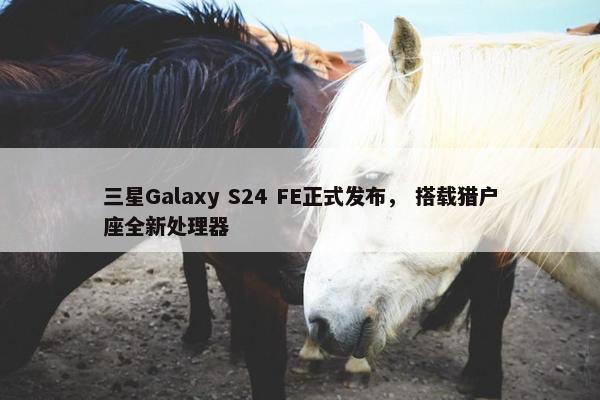 三星Galaxy S24 FE正式发布， 搭载猎户座全新处理器