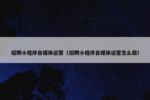 招聘小程序自媒体运营（招聘小程序自媒体运营怎么做）