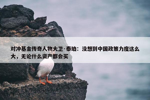 对冲基金传奇人物大卫·泰珀：没想到中国政策力度这么大，无论什么资产都会买