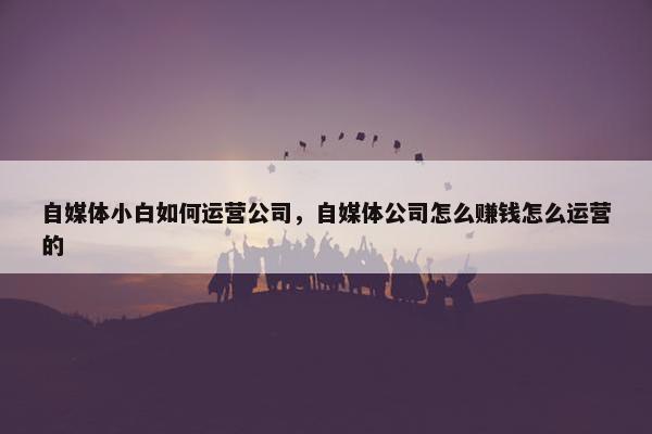 自媒体小白如何运营公司，自媒体公司怎么赚钱怎么运营的