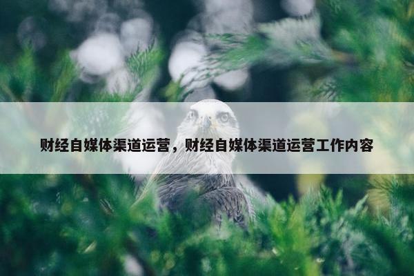 财经自媒体渠道运营，财经自媒体渠道运营工作内容