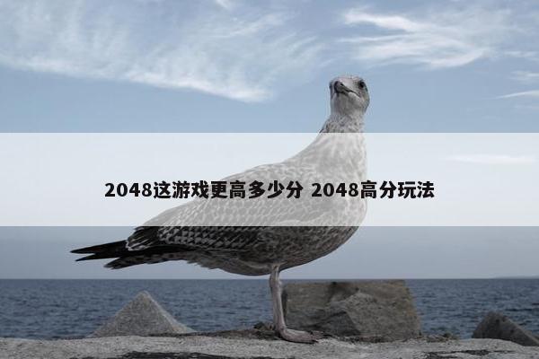 2048这游戏更高多少分 2048高分玩法