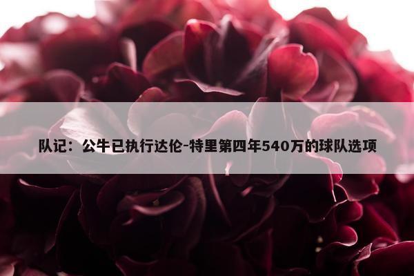 队记：公牛已执行达伦-特里第四年540万的球队选项