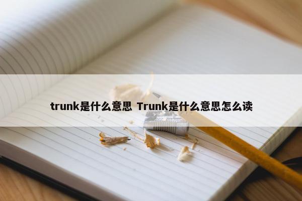 trunk是什么意思 Trunk是什么意思怎么读