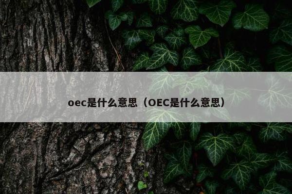 oec是什么意思（OEC是什么意思）