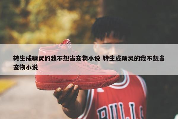 转生成精灵的我不想当宠物小说 转生成精灵的我不想当宠物小说