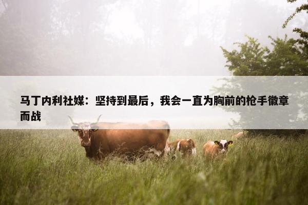 马丁内利社媒：坚持到最后，我会一直为胸前的枪手徽章而战