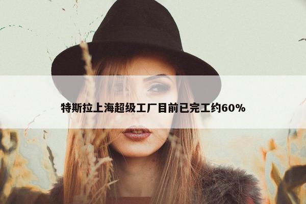 特斯拉上海超级工厂目前已完工约60%