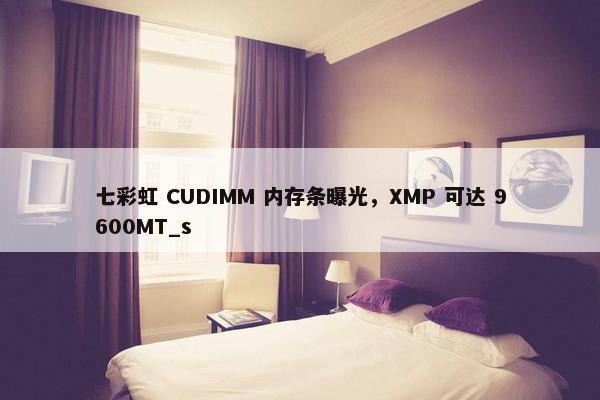 七彩虹 CUDIMM 内存条曝光，XMP 可达 9600MT_s