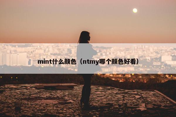 mint什么颜色（ntmy哪个颜色好看）