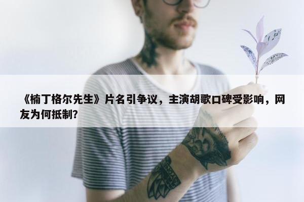 《楠丁格尔先生》片名引争议，主演胡歌口碑受影响，网友为何抵制？