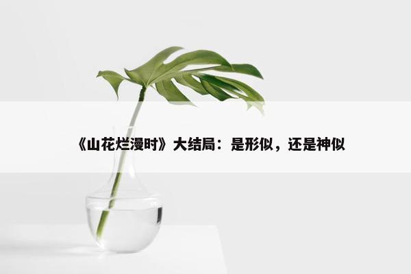 《山花烂漫时》大结局：是形似，还是神似