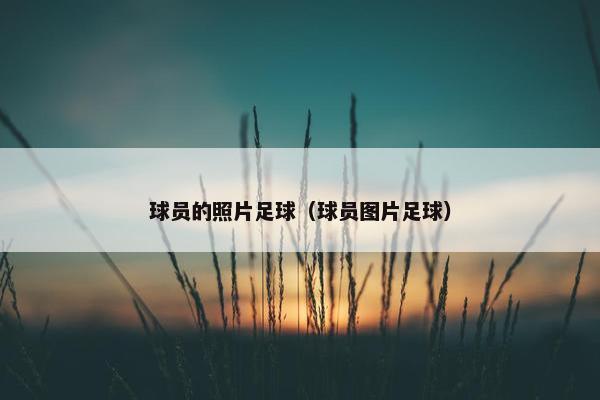 球员的照片足球（球员图片足球）