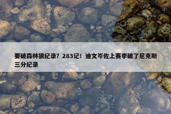 要破森林狼纪录？283记！迪文岑佐上赛季破了尼克斯三分纪录