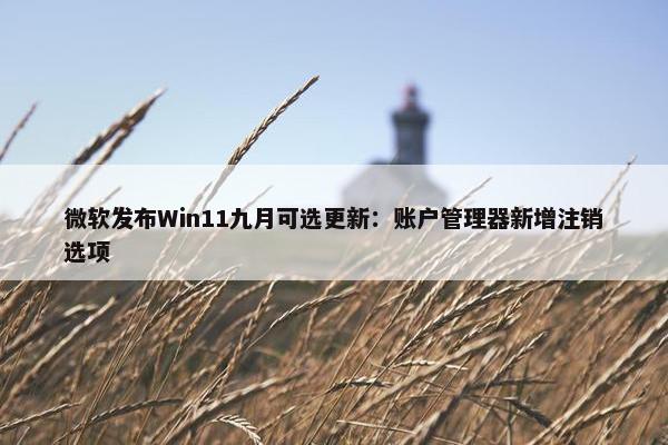 微软发布Win11九月可选更新：账户管理器新增注销选项