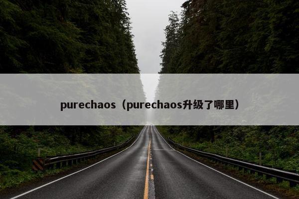 purechaos（purechaos升级了哪里）