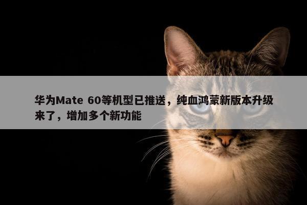 华为Mate 60等机型已推送，纯血鸿蒙新版本升级来了，增加多个新功能