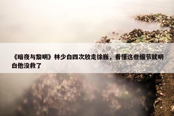 《暗夜与黎明》林少白四次放走徐巍，看懂这些细节就明白他没救了