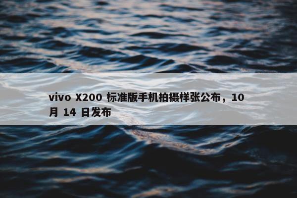 vivo X200 标准版手机拍摄样张公布，10 月 14 日发布