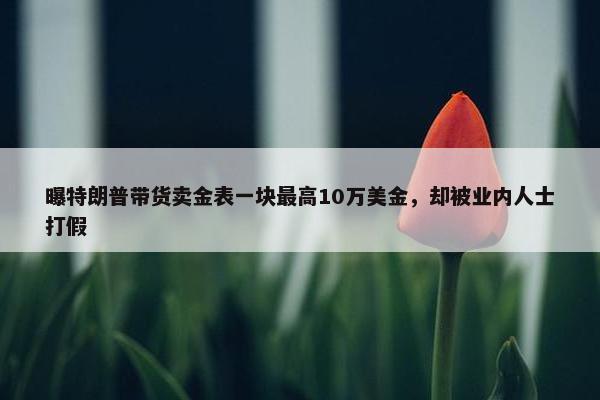 曝特朗普带货卖金表一块最高10万美金，却被业内人士打假