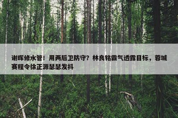 谢晖修水管！用两后卫防守？林良铭霸气透露目标，蓉城赛程令徐正源瑟瑟发抖