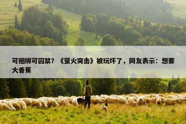 可捆绑可囚禁？《萤火突击》被玩坏了，网友表示：想要大香蕉