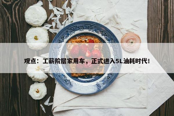 观点：工薪阶层家用车，正式进入5L油耗时代！