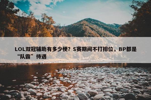 LOL双冠辅助有多少梗？S赛期间不打排位，BP都是“队霸”待遇