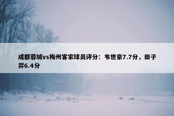 成都蓉城vs梅州客家球员评分：韦世豪7.7分，田子羿6.4分