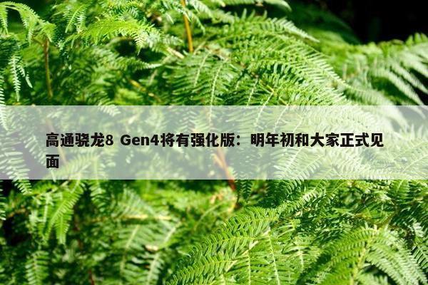 高通骁龙8 Gen4将有强化版：明年初和大家正式见面