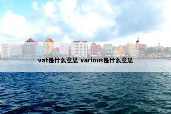 vat是什么意思 various是什么意思