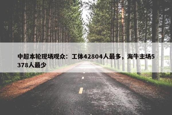 中超本轮现场观众：工体42804人最多，海牛主场5378人最少