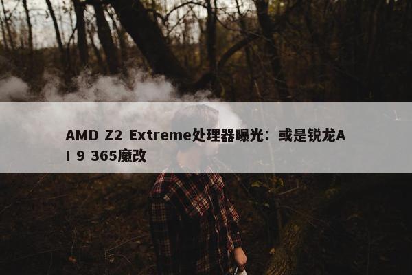 AMD Z2 Extreme处理器曝光：或是锐龙AI 9 365魔改